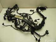 MERCEDES-BENZ A 651 010 13 04 / A6510101304 E-CLASS (W212) 2010 Engine harness