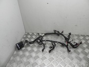 DODGE 05148037AJ CHARGER 2016 Harness