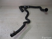 FORD FOCUS II (DA_, HCP) 2009 Radiator Hose