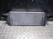 MERCEDES-BENZ A251 500 00 00 / A2515000000 R-CLASS (W251, V251) 2006 Intercooler