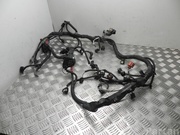 FORD C1BT-12464947-000 / C1BT12464947000 B-MAX (JK) 2012 Engine harness