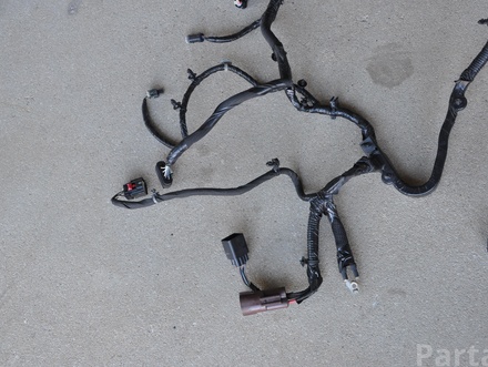 CHRYSLER 68461626AC Pacifica  2020 Harness