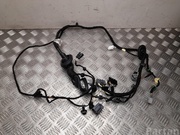 FORD JX6T-14630-GEJF / JX6T14630GEJF Focus IV (C519) estate 2020 Harness for interior Door