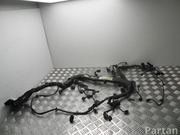 MERCEDES-BENZ A 651 010 28 07 / A6510102807 C-CLASS (W204) 2012 Engine harness